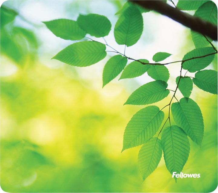 Actual product image Fellowes Sheets (S)