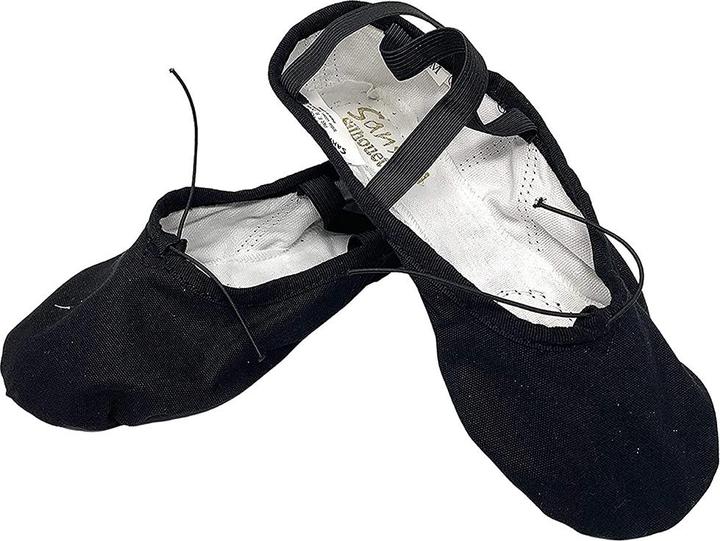 Actual product image Sansha Ballet Fabric Training Shoes (41)
