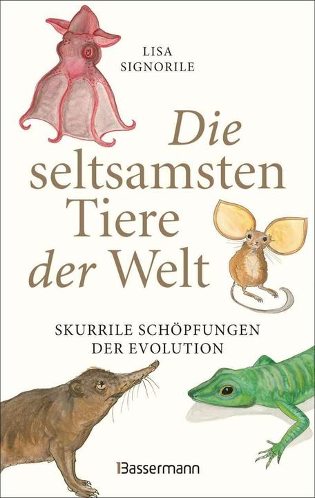 Image du produit Die seltsamsten Tiere der Welt – Skurrile Schöpfungen der Evolution. Tierporträts, die Darwin und (Allemand, Lisa Signorile, 2019)