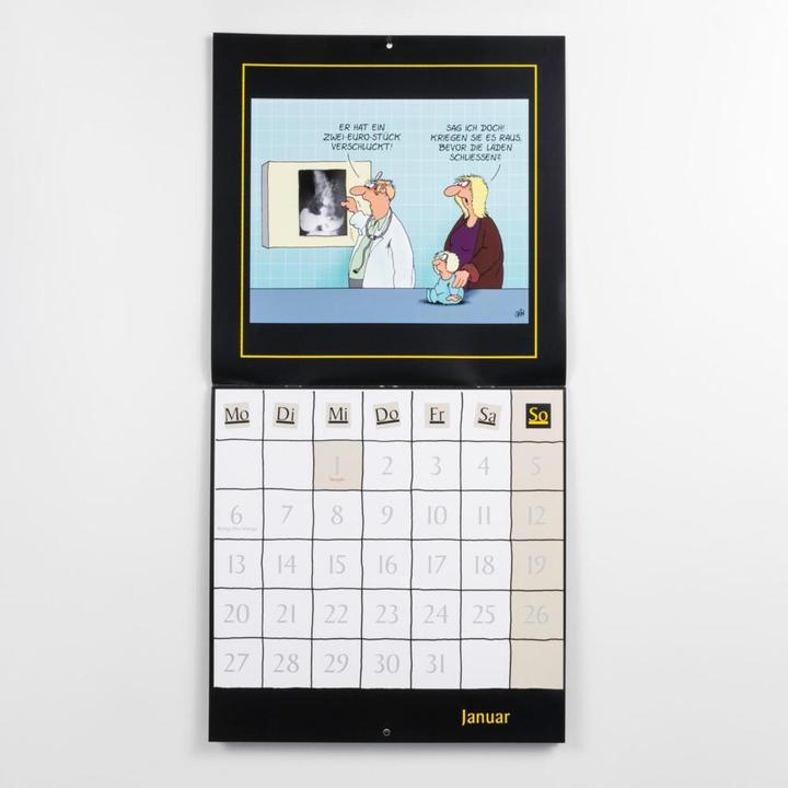 Produktbild Stein:Uli Stein Schwarzer Kalender 2025 (30 x 30 cm, Harter Einband, Deutsch)