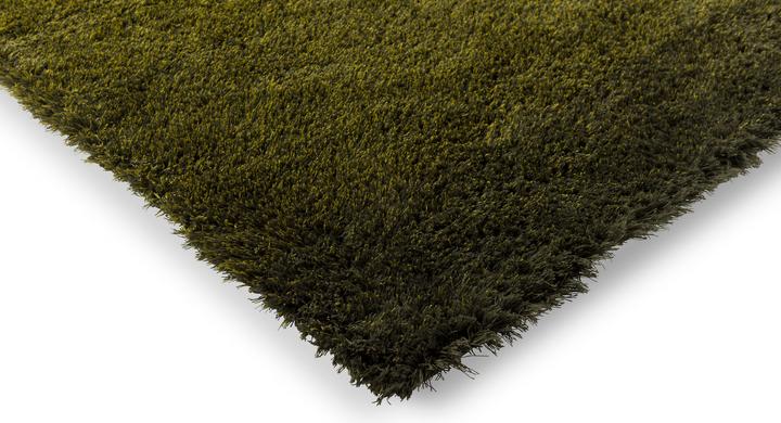 Immagine prodotto Brink & Campman Ombra alta (200 x 300 cm)
