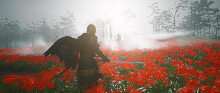 Image du produit Sony Ghost of Tsushima Director’s Cut (PS4, Multilingue)