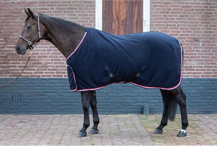 Produktbild Harry's Horse Master (185 cm)