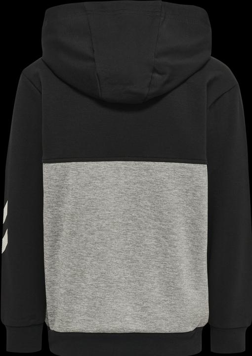Produktbild hummel Edward Hoodie (104)