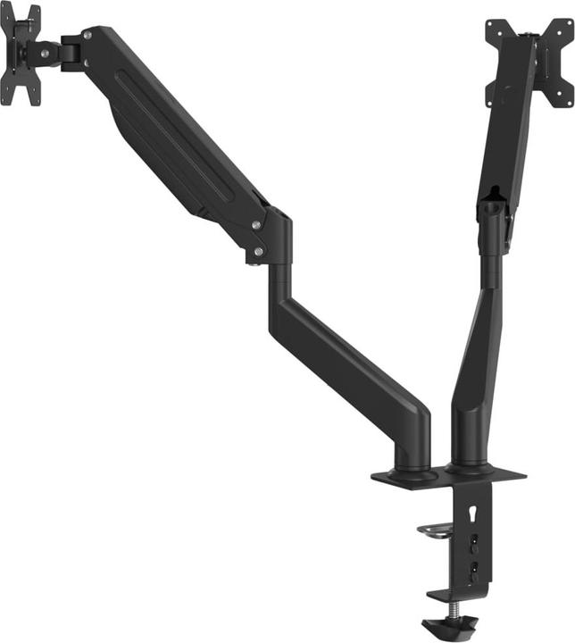Actual product image VidaXL Double monitor arm for max 27 inch VESA 75/100 mm 20 kg (27")