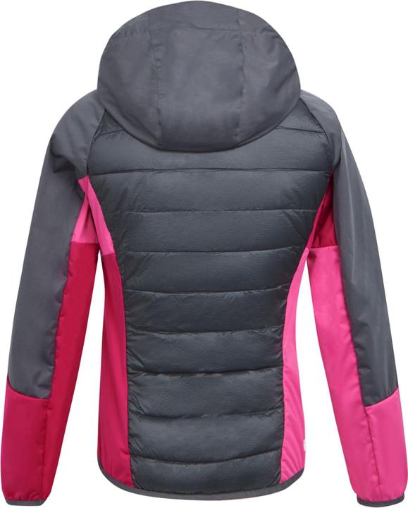 Image du produit Regatta - Veste hybride ANDRESON PRO - Femme (36 D)