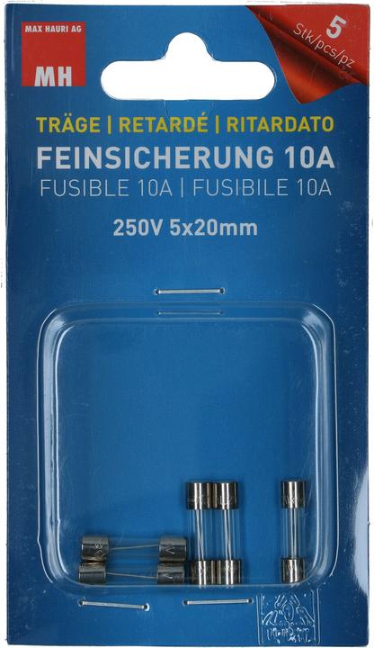 Max Hauri Fine-wire fuse (Micro fuse, 10 A, Lazy)