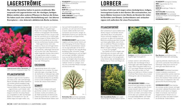 Immagine prodotto Grünes Gartenwissen. Pflanzen richtig schneiden (Tedesco, Stephanie Mahon, Reinhard Ferstl, Casa editrice DK, 2022)