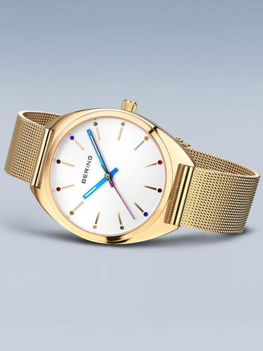 Image du produit Bering 127220-36-334 FREEDOM (Montre analogique)