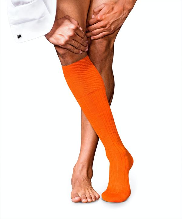 Image du produit Falke No. 2 KH (45 - 46)