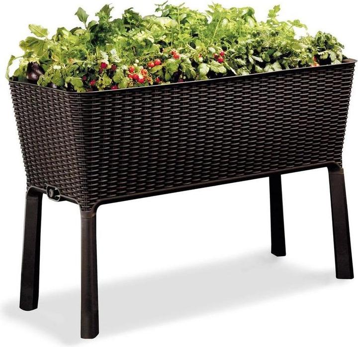 Actual product image Keter Raised bed on stilts Easy growing 114x49.3x75.7 cm anthracite