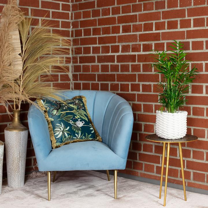Produktbild Flowerbox Bergpalme - Chamaedorea elegans (55 cm)