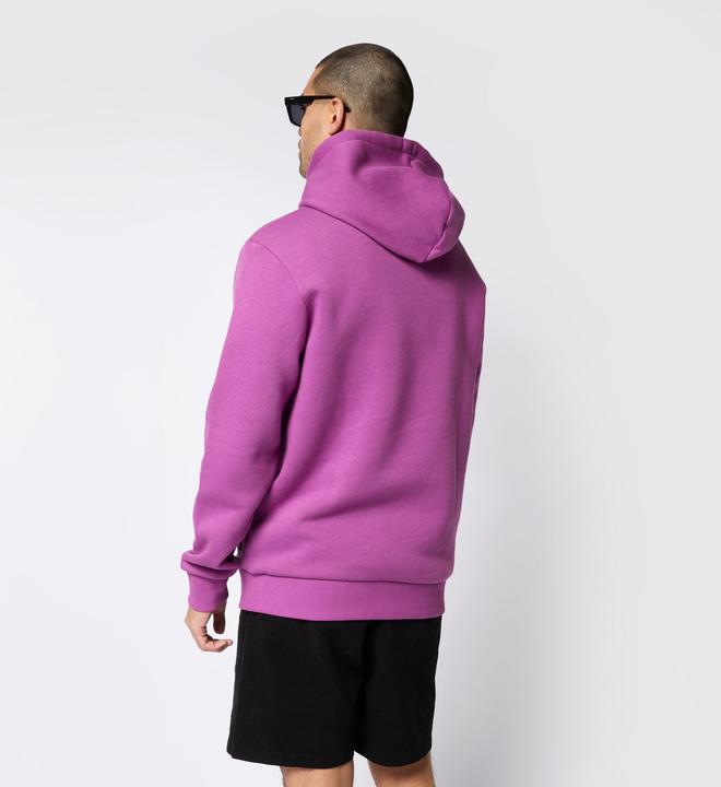 Actual product image Mystic Icon Hood Sweat (L)