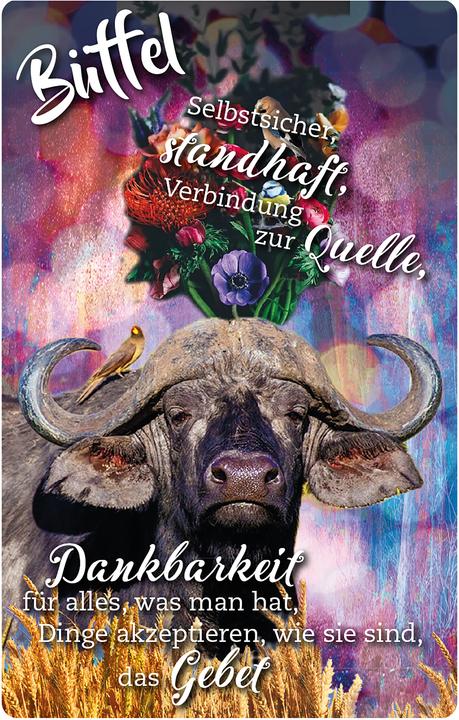 Immagine prodotto Krafttier-Orakelkarten (Tedesco, Eva Katharina Junge, 2021)