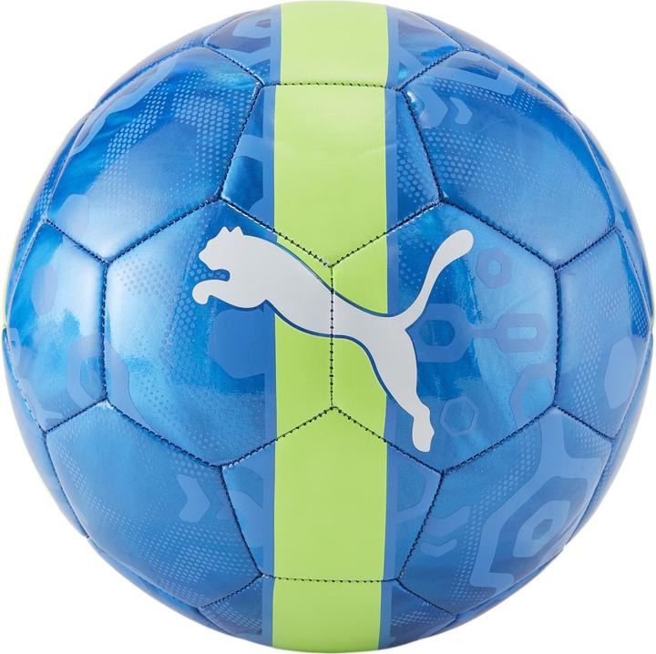 Actual product image Puma CUP ball