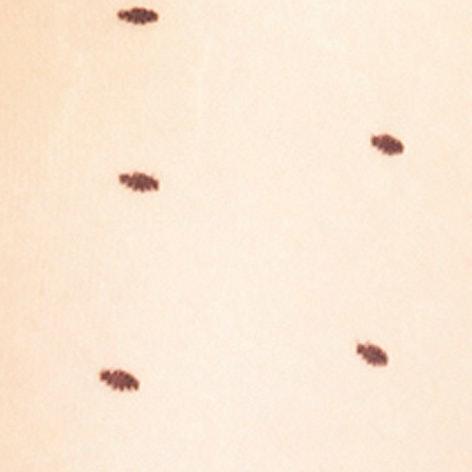 Actual product image Falke Dot TI (15 DEN, 42 - 44)