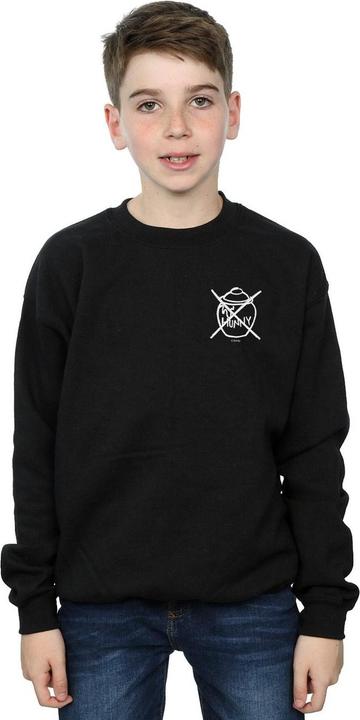 Image du produit Disney - Sweat WINNIE THE POOH NOT HONEY - Garçon (152, 158)