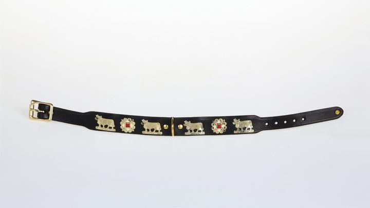 Actual product image Jenni Hemden Appenzellerhundehalsband 2,5cm (34, Dog, Walks)