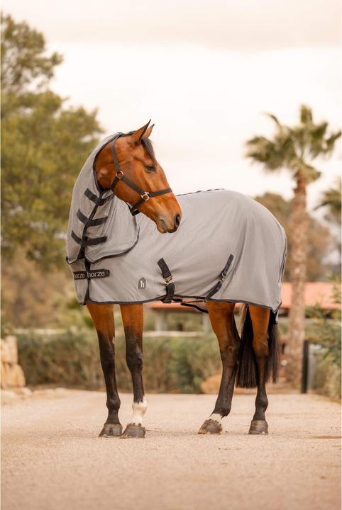Produktbild Horze Paso Fino