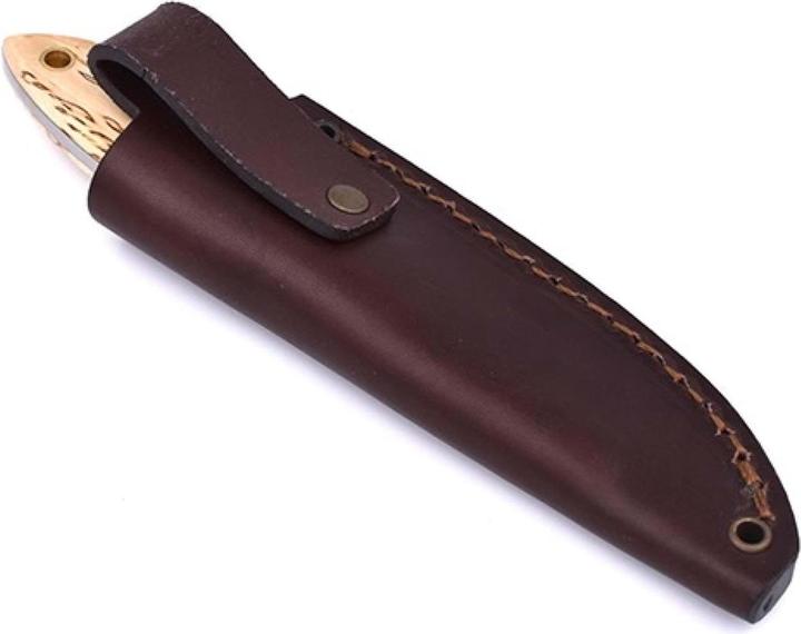 Produktbild Brisa Bobtail 80 Maserbirke Scandi (8 cm)