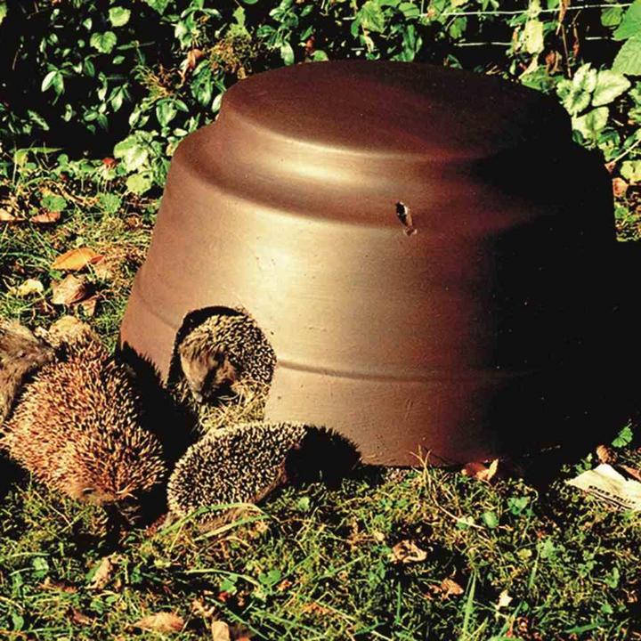 Produktbild Siena Garden Igelkuppel mit Boden