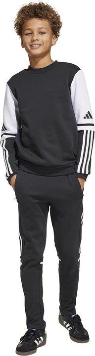 Actual product image adidas Squadra 25 SW CREW Y (140)