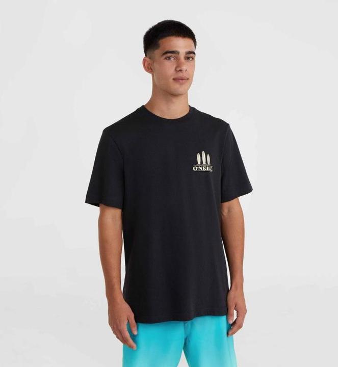 Actual product image O'Neill Beach Graphic T-Shirt (M)