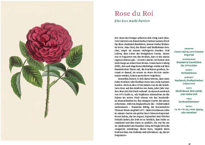 Produktbild Historische Rosen (Deutsch, Sofia Blind, Staatsbibliothek zu Berlin, 2023)