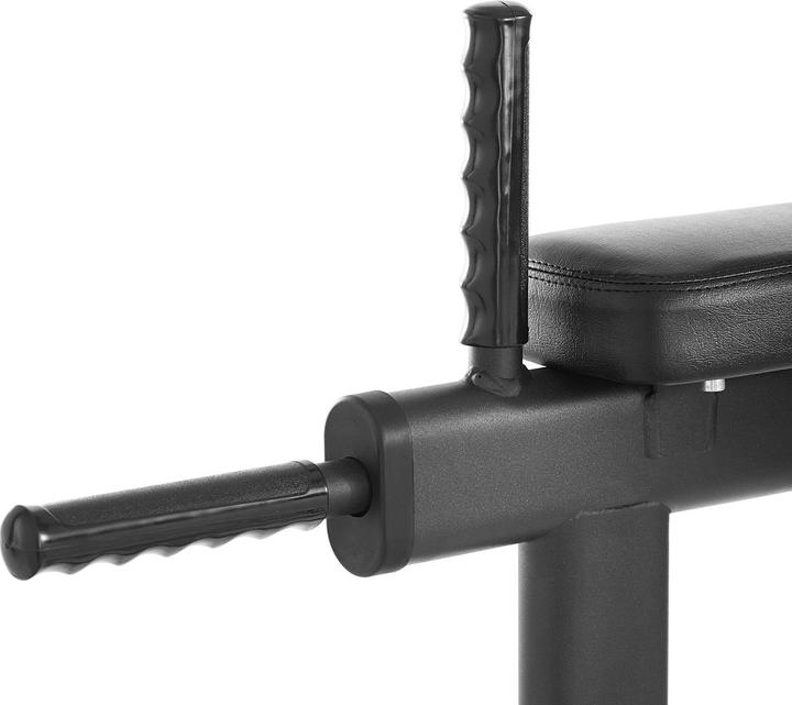 Actual product image Gymrex Dip Stand - 135 kg