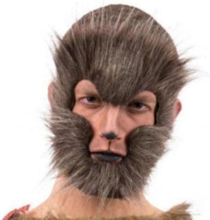 Immagine prodotto Carnival Toys Maschera da lupo grigio integrale in pelliccia