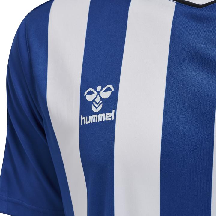 Image du produit hummel Core Xk Striped Jersey S/S (XL)