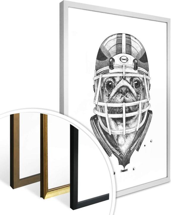 Produktbild Trenddeko American Pug Football (40 x 50 cm)