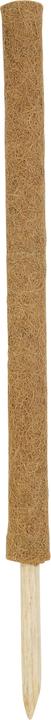 Actual product image Windhager Plant stick coconut (80 cm, 4.50 cm)