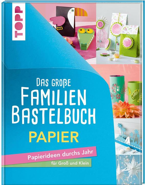 Actual product image The big family craft book paper