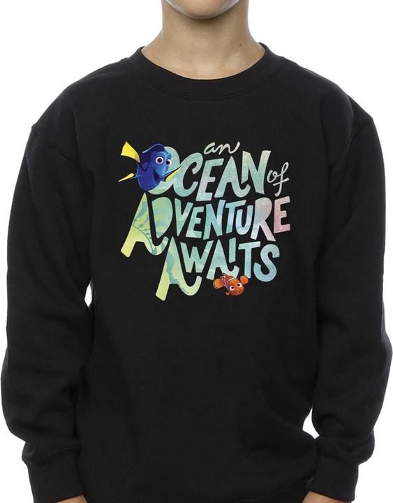 Actual product image Disney Boys Finding Dory Ocean Of Adventure Sweatshirt (140, 146)