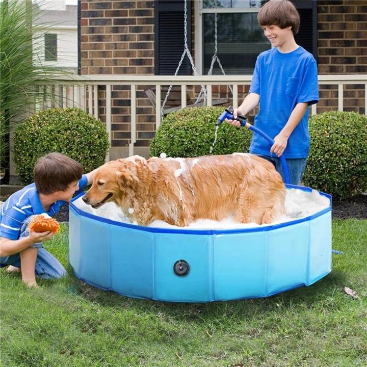 Actual product image Champ Large dog pool (Dog pool)