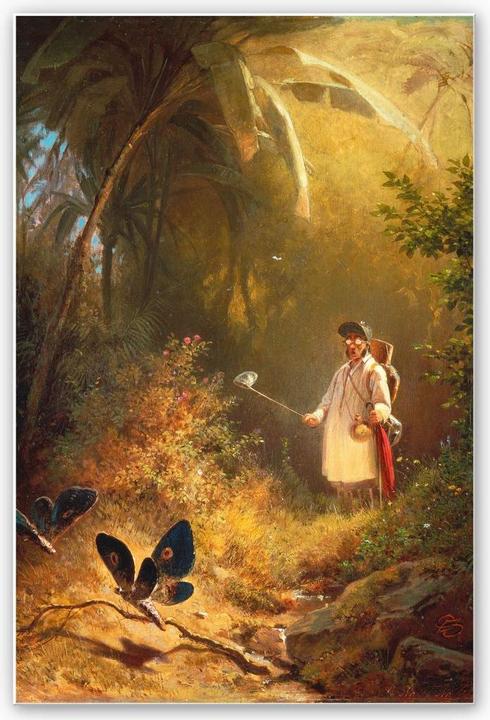 Image du produit Trenddeko Spitzweg - L'attrape-papillon (20 x 30 cm)