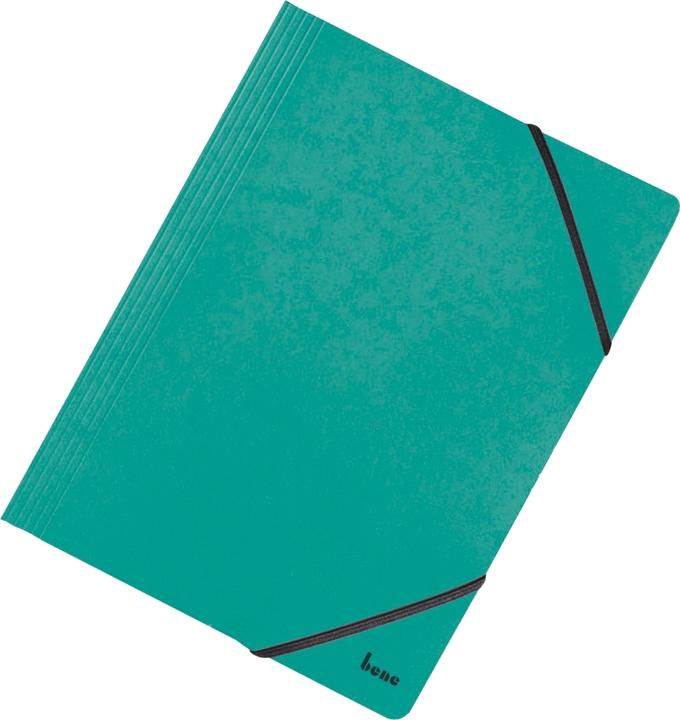 Actual product image Bene Corner folder DIN A4 green (A4, 1 x)