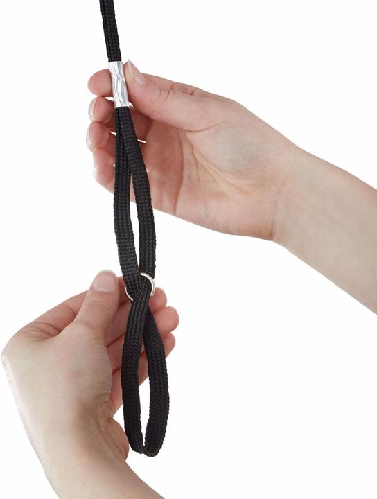 Immagine prodotto tectake Tavolo da toelettatura per cani con braccio (Cane)