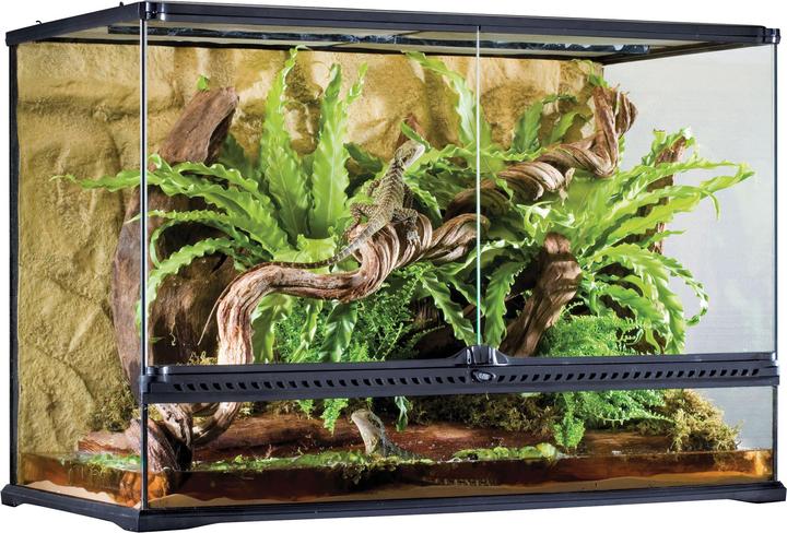 Exo Terra Terrarium