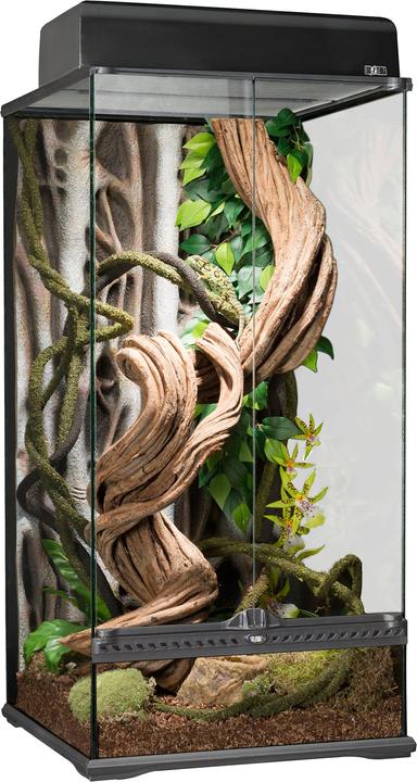 Image du produit Exo Terra Forêt tropicale