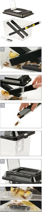 Actual product image Exo Terra Cricket Pen L