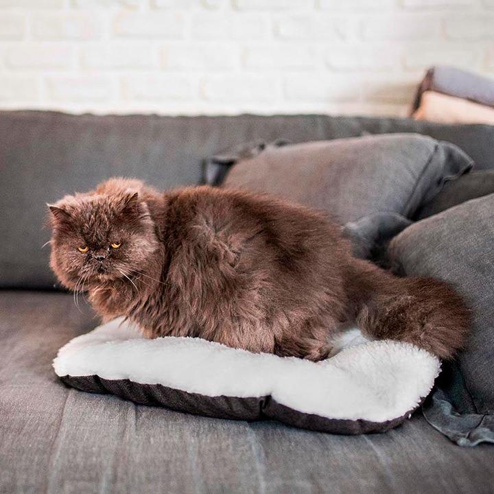 Image du produit Ferplast Détente (Chien, Chat)