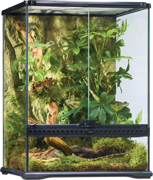 Immagine prodotto Exo Terra naturale piccolo