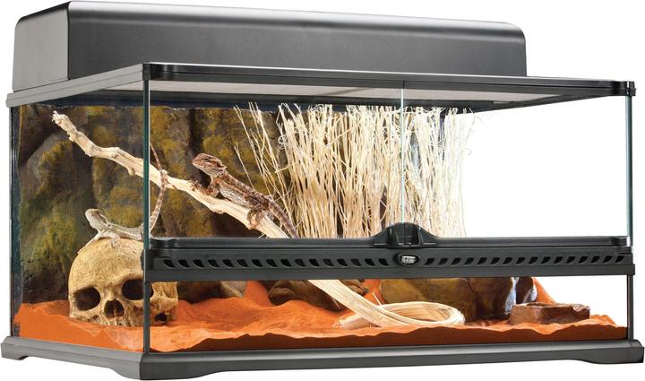 Exo Terra Terrarium en verre
