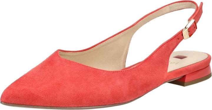 Actual product image Högl Ballerinas (36)