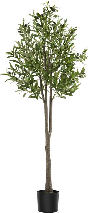 tectake Olivenbaum Oleand (150 cm)