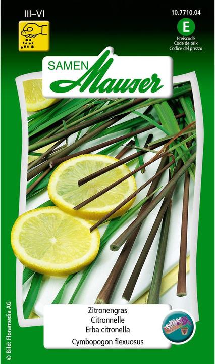 Produktbild Samen Mauser Zitronengras (Kräutersamen)