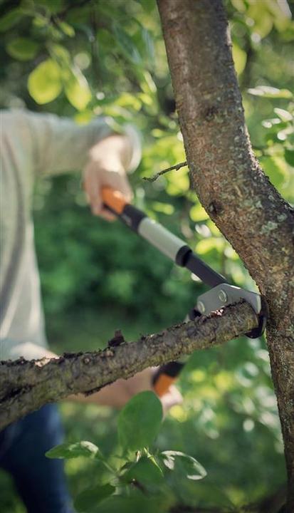 Actual product image Fiskars Lx98-L