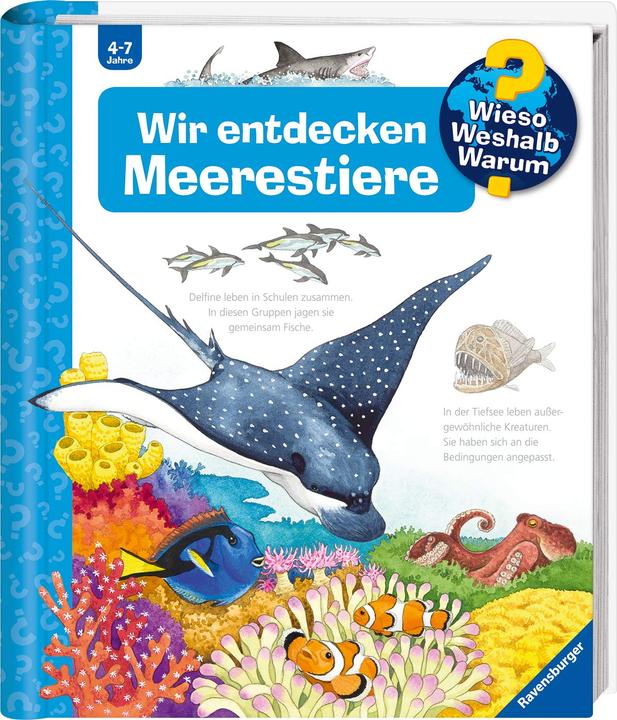 Produktbild Ravensburger Wir entdecken Meerestiere (Deutsch, Andrea Erne, 2015)